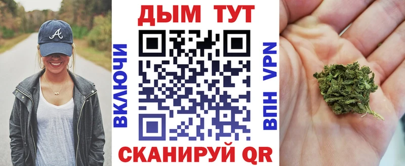 сколько стоит  Макарьев  Каннабис SATIVA & INDICA 